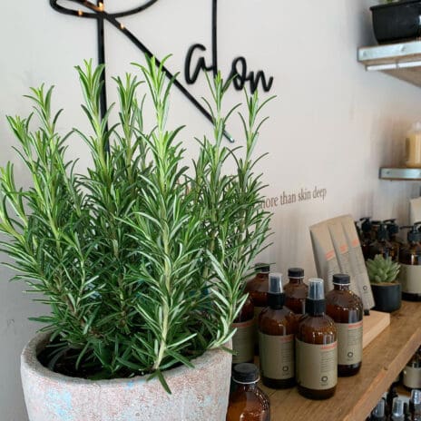 Internal shot of Kalon Hair Studio Wales