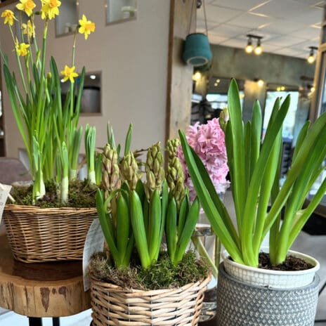 Internal shot of Kalon Hair Studio Wales